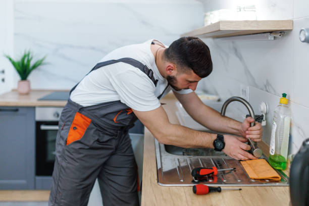 Best Local Plumber Services  in West Wood, UT